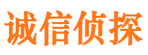 鼎城市侦探公司